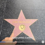 Unde se află Dan Negru după ce a renunțat la Revelionul TV. De 4 zile postează încontinuu imagini de acolo, fanii se minunează