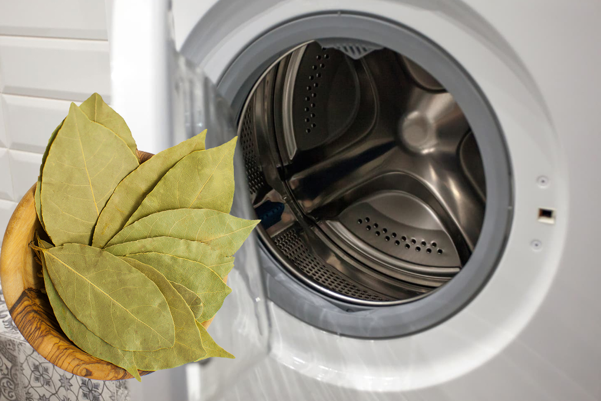 Ce se întâmplă dacă pui frunze de dafin în mașina de spălat. Trucul are efecte nebănuite