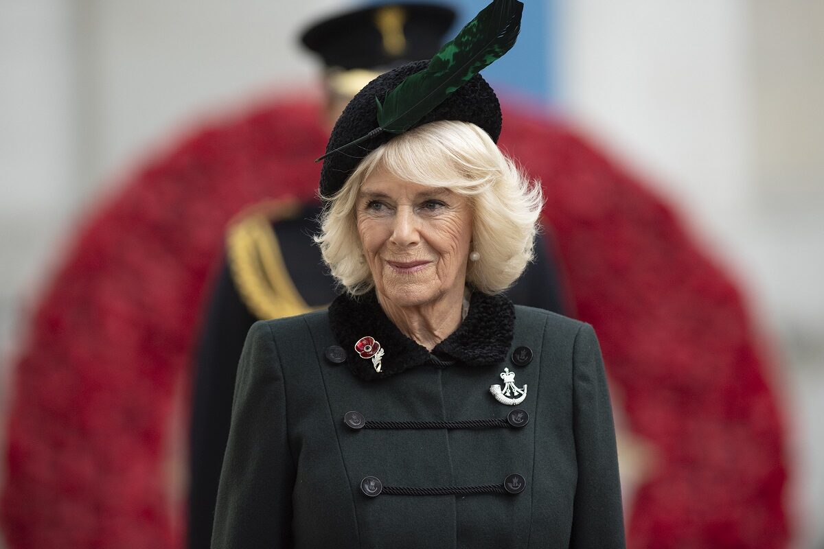 Cum arata și cu ce se ocupa sora Camillei