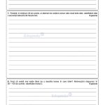 Simulare Evaluarea Națională 2024, subiecte la limba română 4