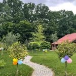 Unde se afla si cum arata casa in care Mirela Vaida locuieste cu sotul si copiii lor 11