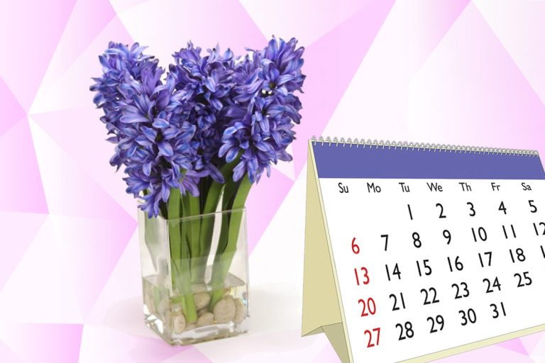 Ce să adaugi în apa zambilelor pentru a rezista mai mult în vază? Trucuri utile pentru a te bucura de flori proaspete vreme lungă