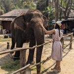 Cu ce se confrunta Irina Fodor, in timpul filmarilor de la Asia Express 2024 3