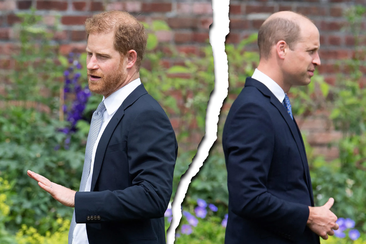 De când nu se mai înțeleg de fapt prințul Harry și William. Toată lumea a dat vina pe Meghan Markle, dar nu ea este de vină