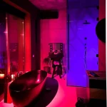 Imagini impresionante din apartamentul de lux in care locuieste Alina Ceusan cu familia ei 9