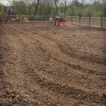 Acasa la Dana Nalbaru si Dragos Bucur 2