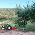 Acasa la Dana Nalbaru si Dragos Bucur 4