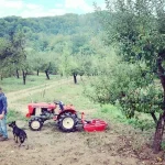 Acasa la Dana Nalbaru si Dragos Bucur 7