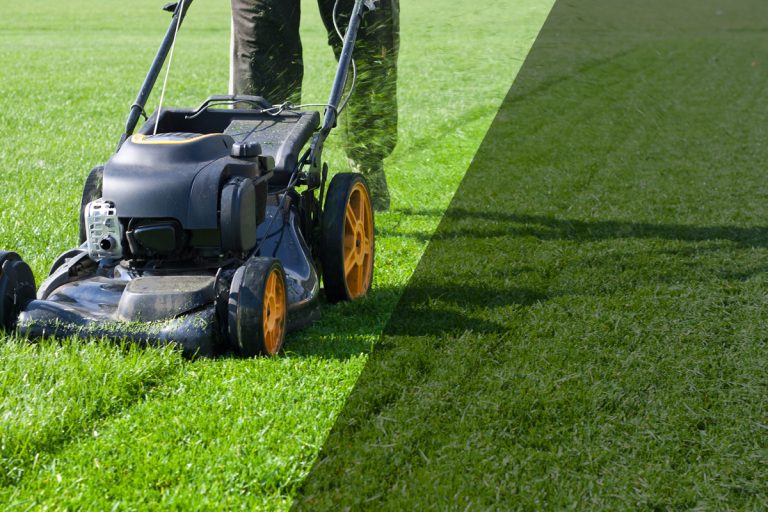 Când se tunde gazonul: dimineața sau seara? Mulți fac greșeala, de asta nu este verde și sănătos