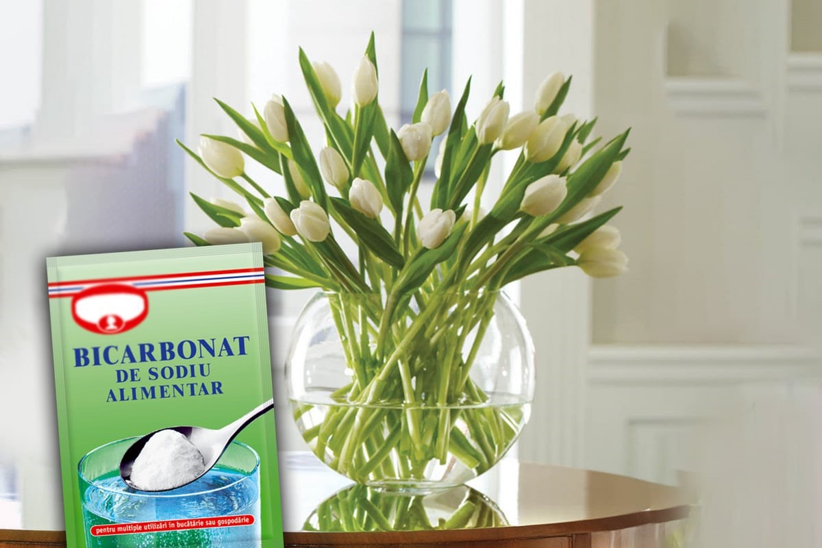 Ce se întâmplă dacă pui bicarbonat de sodiu în apa florilor