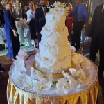 Cine sunt cuscrii Gabrielei Firea 3