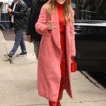 Culori care se potrivesc cu rosu