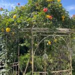 Imagini incredibil de frumoase din gradina Andreei Marin 4