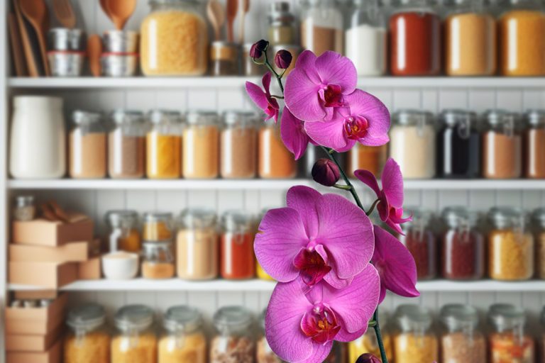 7 trucuri cu ingrediente din bucătărie care ajută la înflorirea rapidă a orhideelor. Cum se prepară și când se aplică de fapt