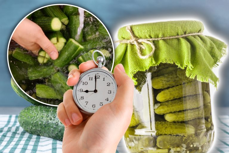 Castraveți murați în 24 de ore. Se păstrează la frigider și sunt delicioși vara