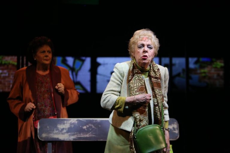 Motivul pentru care Ileana Stana Ionescu va fi incinerată. Unde va avea loc înmormântarea