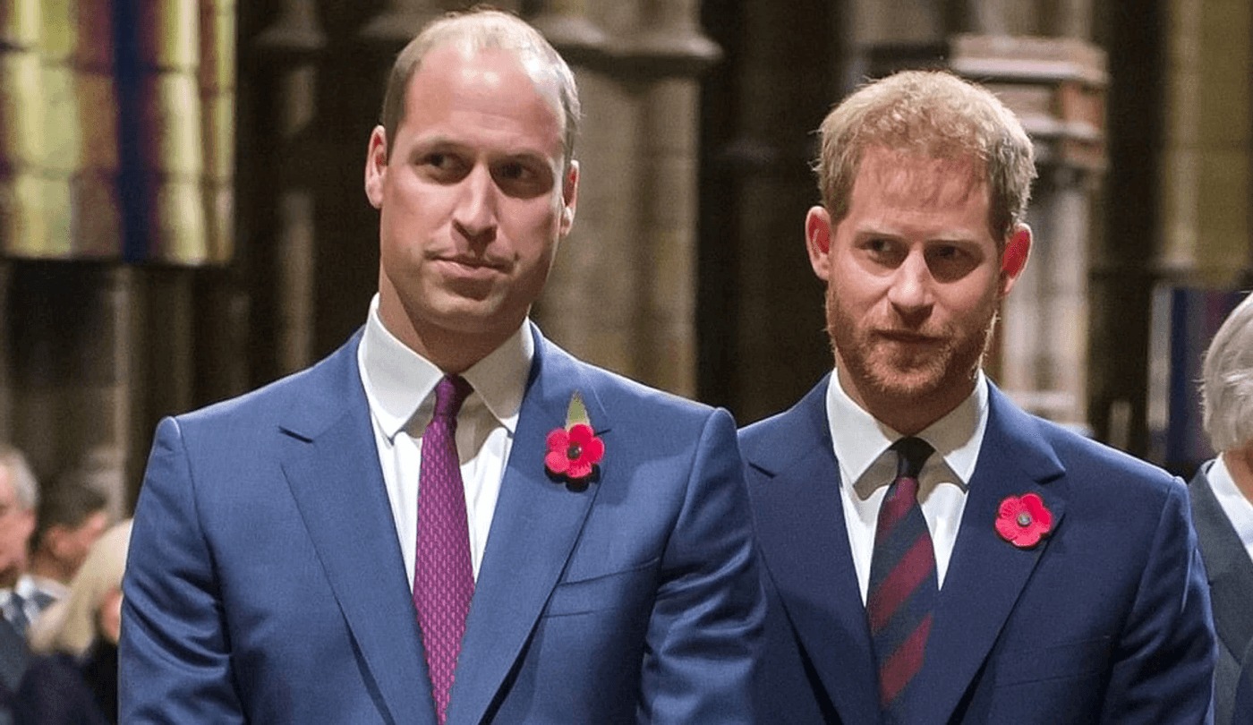 De când nu mai vorbesc fiii prințesei Diana