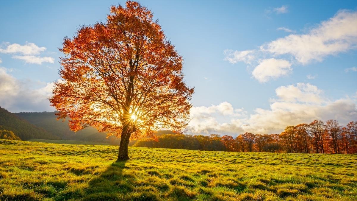 Cum va fi vremea în septembrie