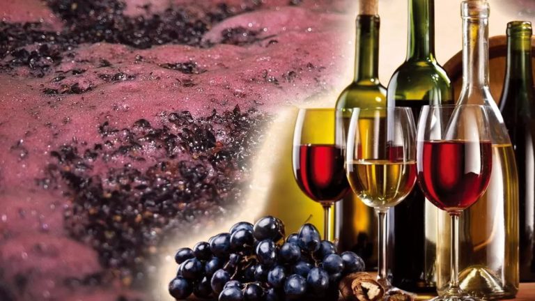 La ce temperatură fermentează vinul? Cât trebuie să dureze procesul de fermentare, în mod normal?