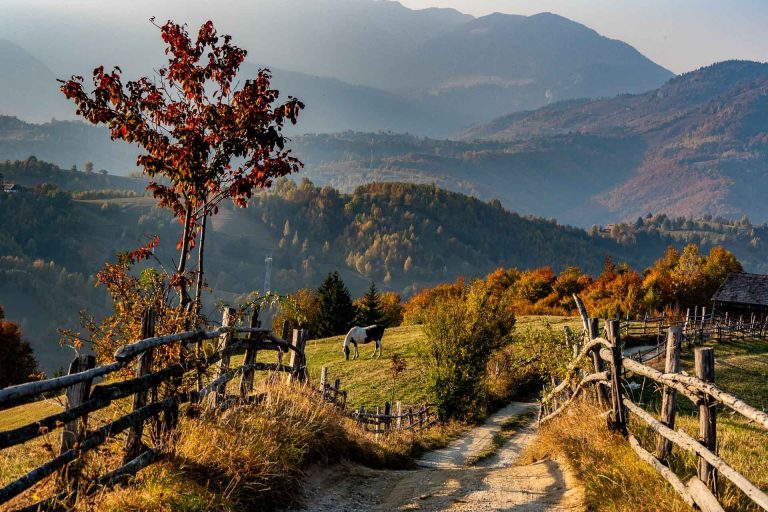 7 locuri din România pe care este mai bine să le vizitezi toamna