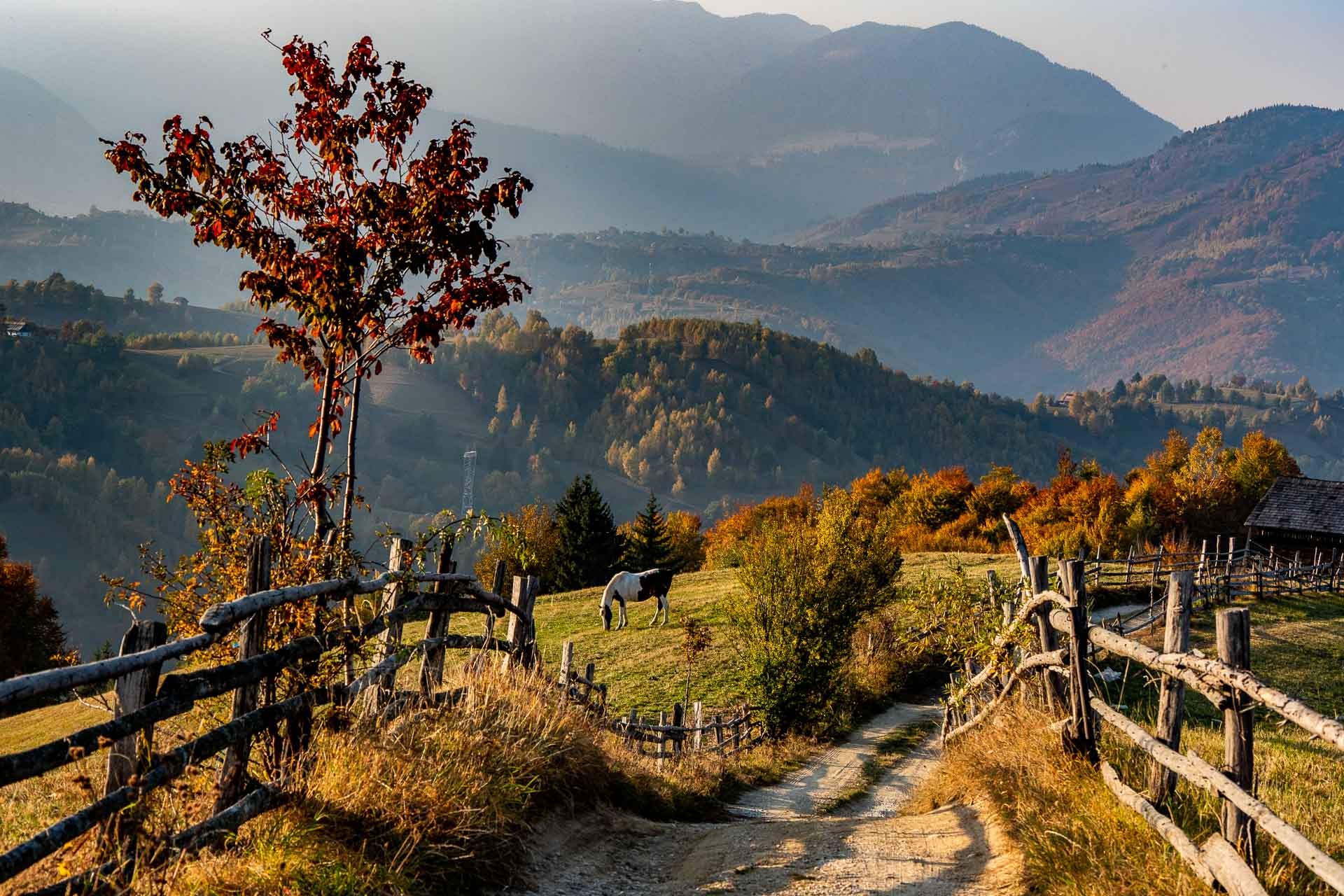 Locuri din România pe care este mai bine să le vizitezi toamna