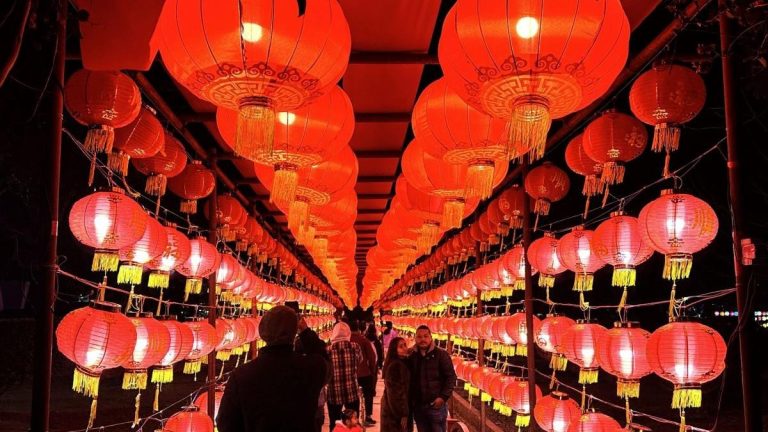 Horoscop chinezesc zilnic, 15 noiembrie, vineri: Ce zodii au parte de noroc azi