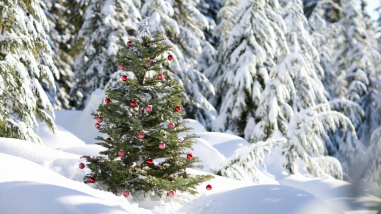 Cum va arăta vremea de Crăciun: ANM dezvăluie prognoza pentru sărbătorile din 2024