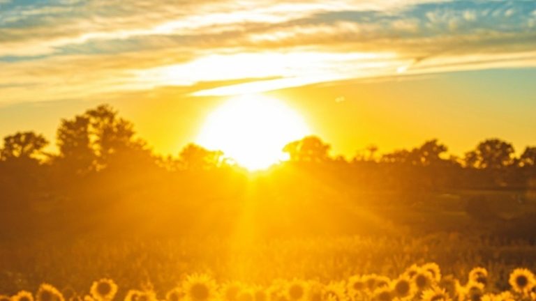 2024, anul recordurilor climatice: NASA confirmă cea mai mare creștere de temperatură din istorie