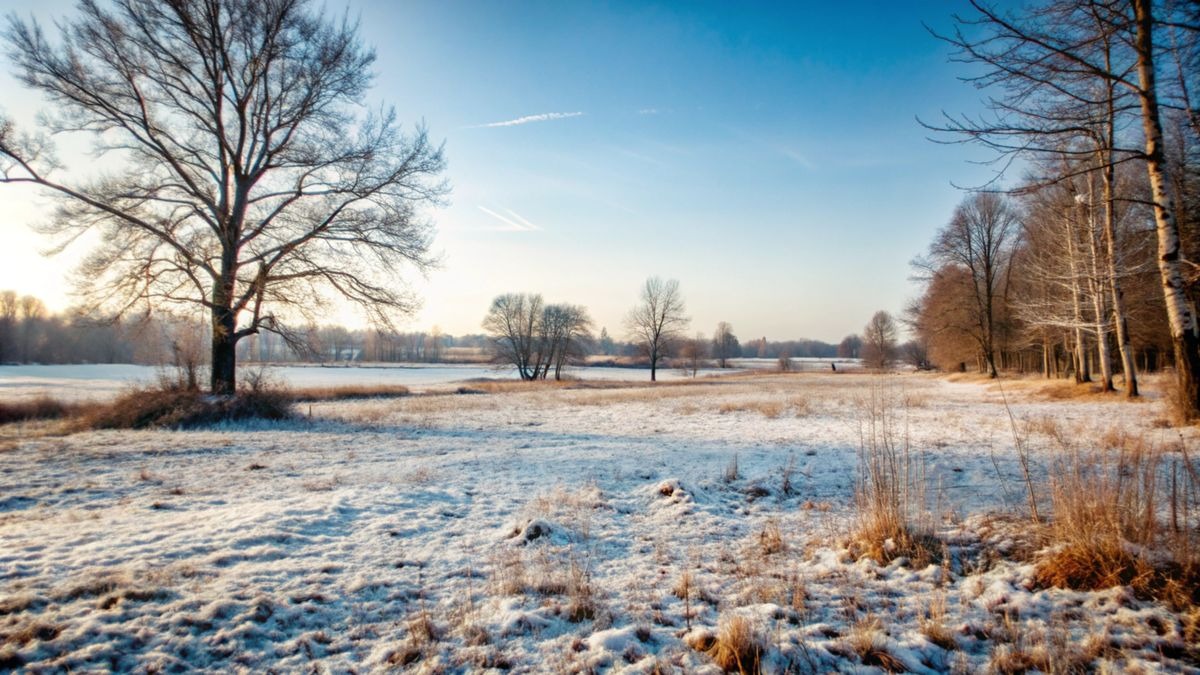 Prognoza lunii februarie