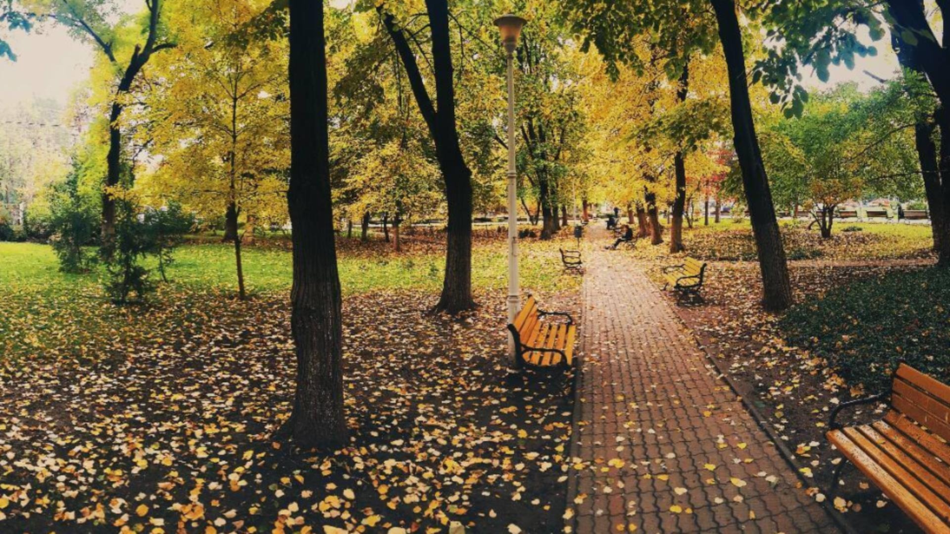 Tragedie în Parcul Tei din București