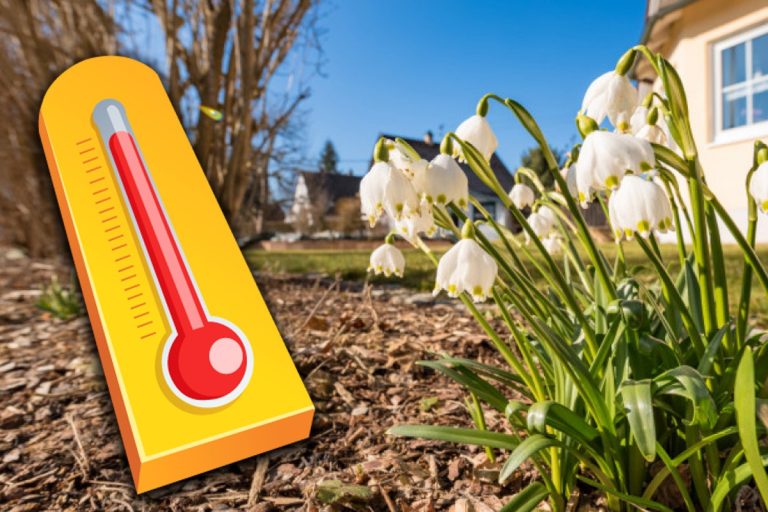 Prognoza meteo martie 2025. Aer tropical și temperaturi de primăvară în România