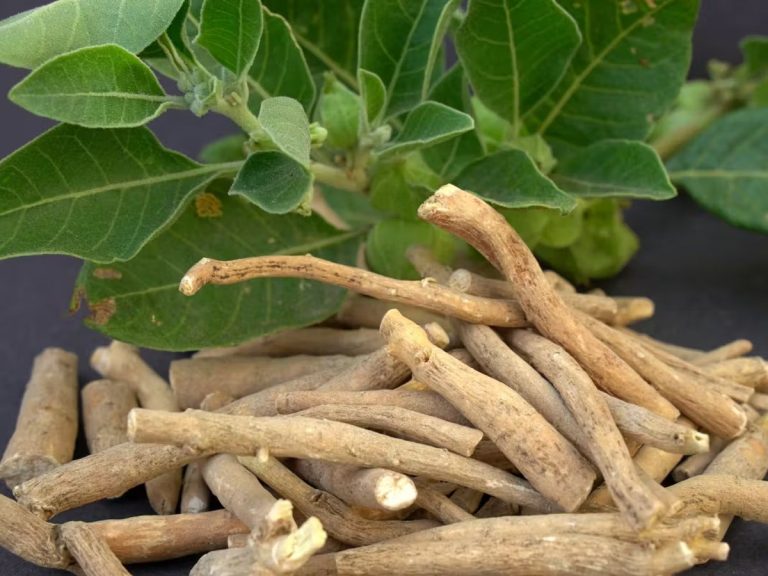 Ashwagandha: beneficii, riscuri și precauții. Ce trebuie să știi despre această plantă medicinală