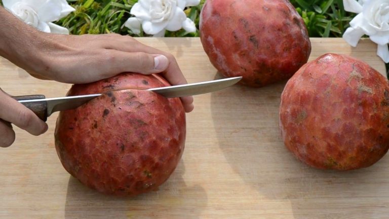 Cherimoya, fructul cu gust delicios și beneficii remarcabile pentru sănătate
