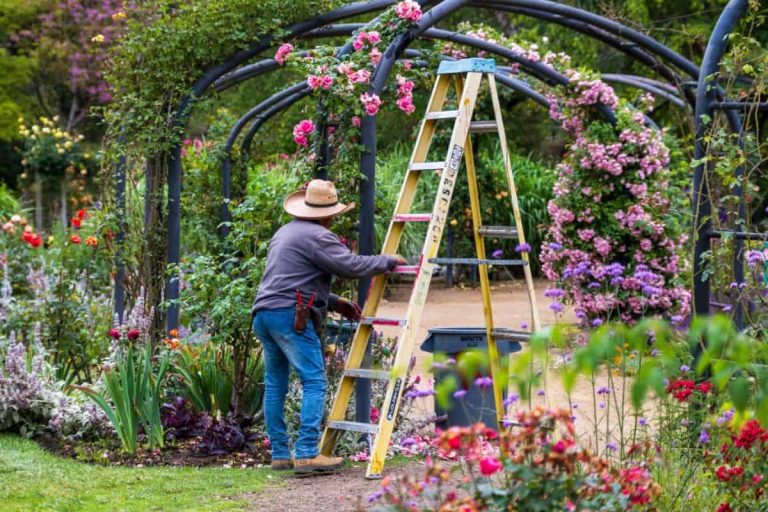 10 sfaturi prețioase pentru grădinari, primăvara. Ce lucrări sunt obligatorii în aprilie