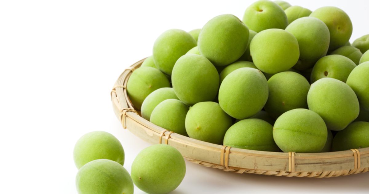 Borș din corcodușe