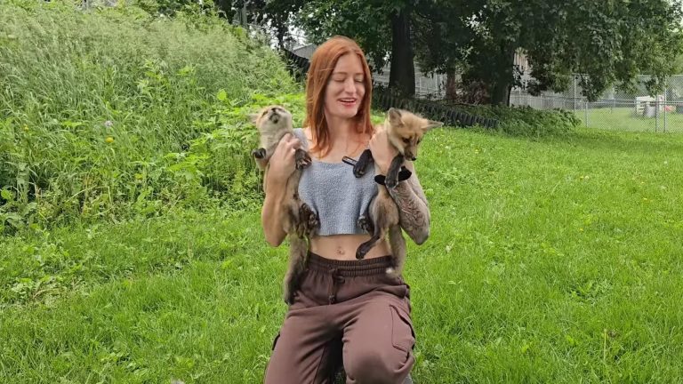 Bullying-ul online a făcut o nouă victimă. O creatoare de conținut din SUA s-a sinucis