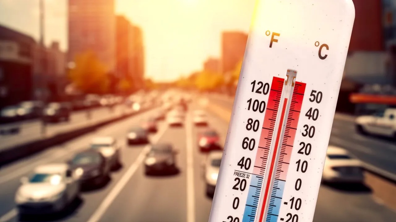 Cod galben de caniculă