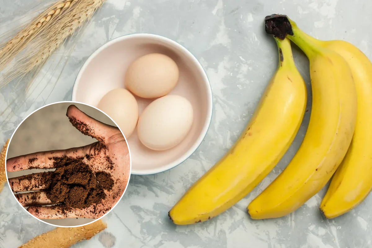 Îngrășământ natural