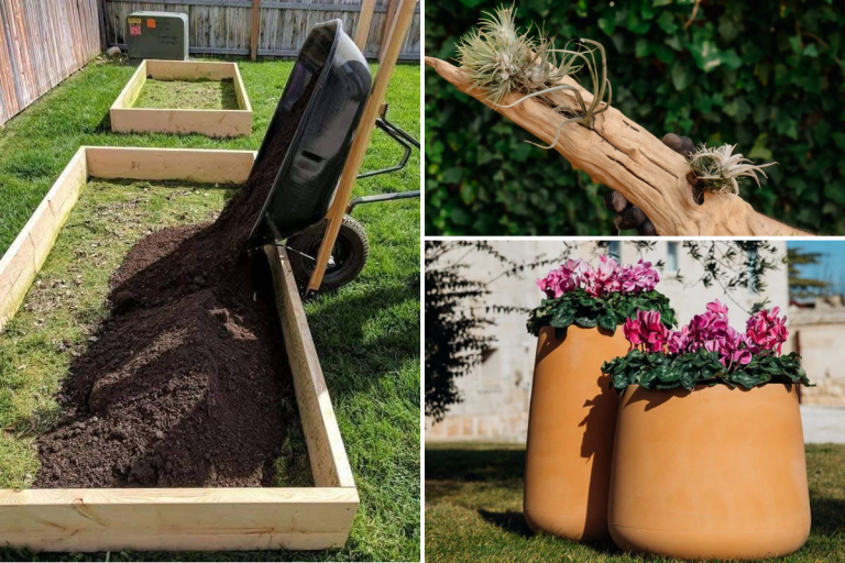 Trei proiecte simple de grădinărit pentru oricine, cu spațiu mic sau mare