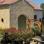 Adela Popescu și Radu Vâlcan