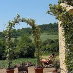 Adela Popescu și Radu Vâlcan