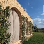 Adela Popescu și Radu Vâlcan