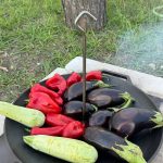 Adela Popescu și Radu Vâlcan