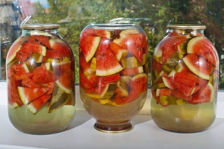 Deliciul românesc care ajută digestia. Ce beneficii are pepenele murat