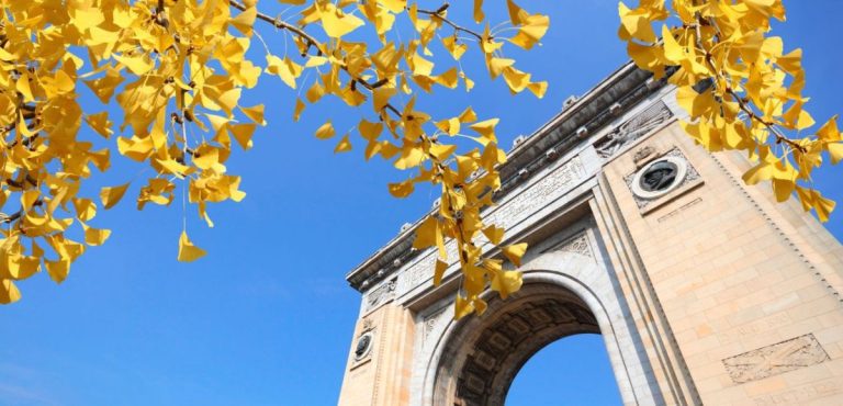 Cum să te bucuri de toamnă în București: activități și locuri de încercat în acest sezon